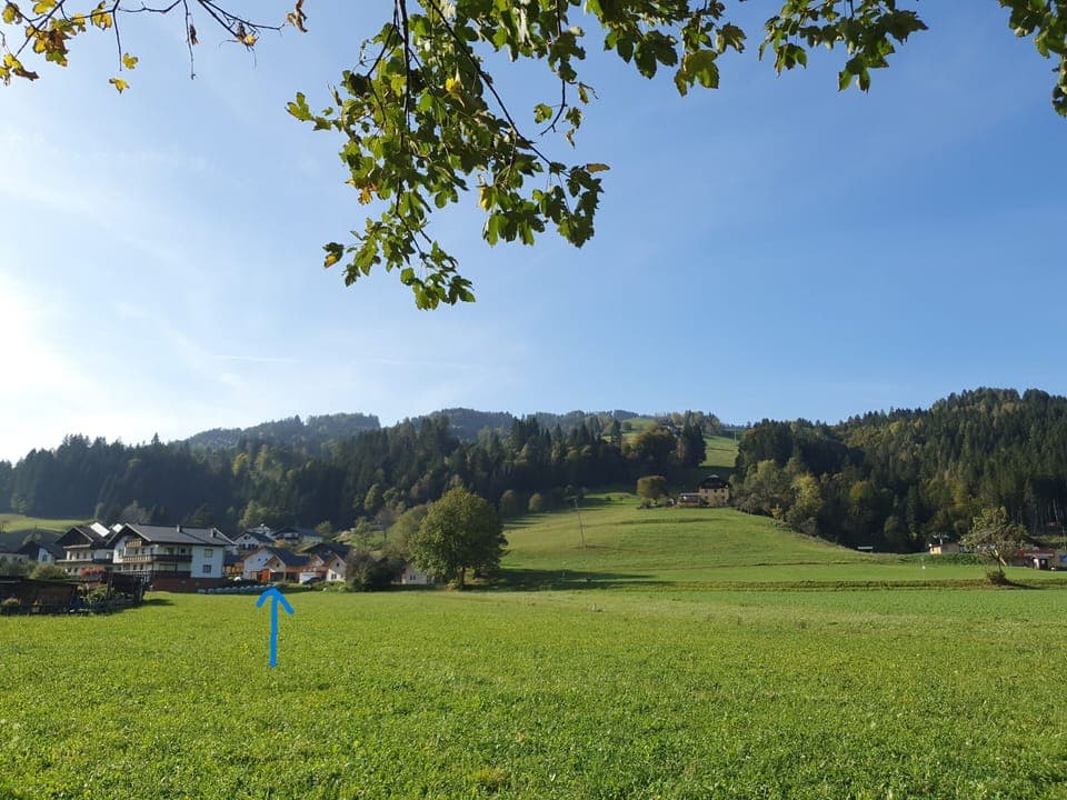 De piste met links Alpensuss 