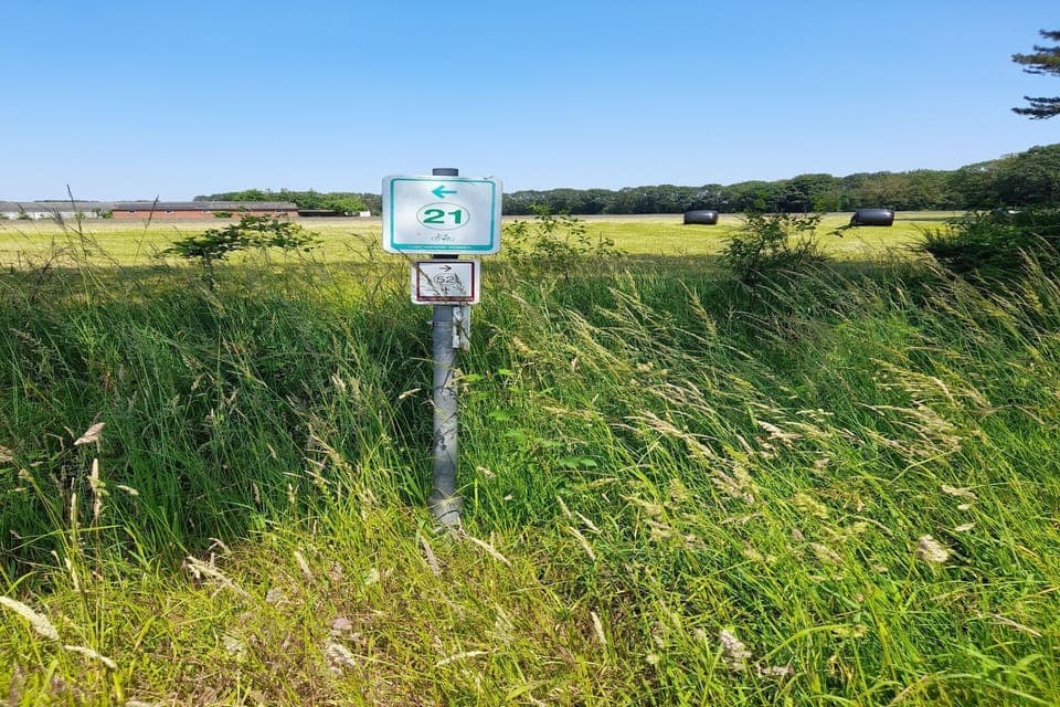 Immediate Surroundings [summer] (<1 km)