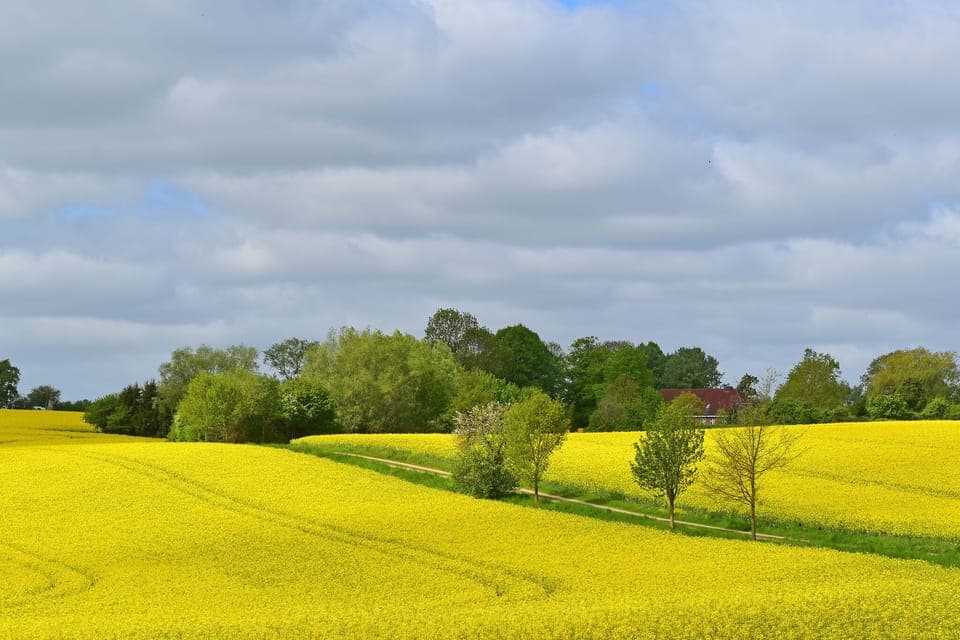 Immediate Surroundings [summer] (<1 km)