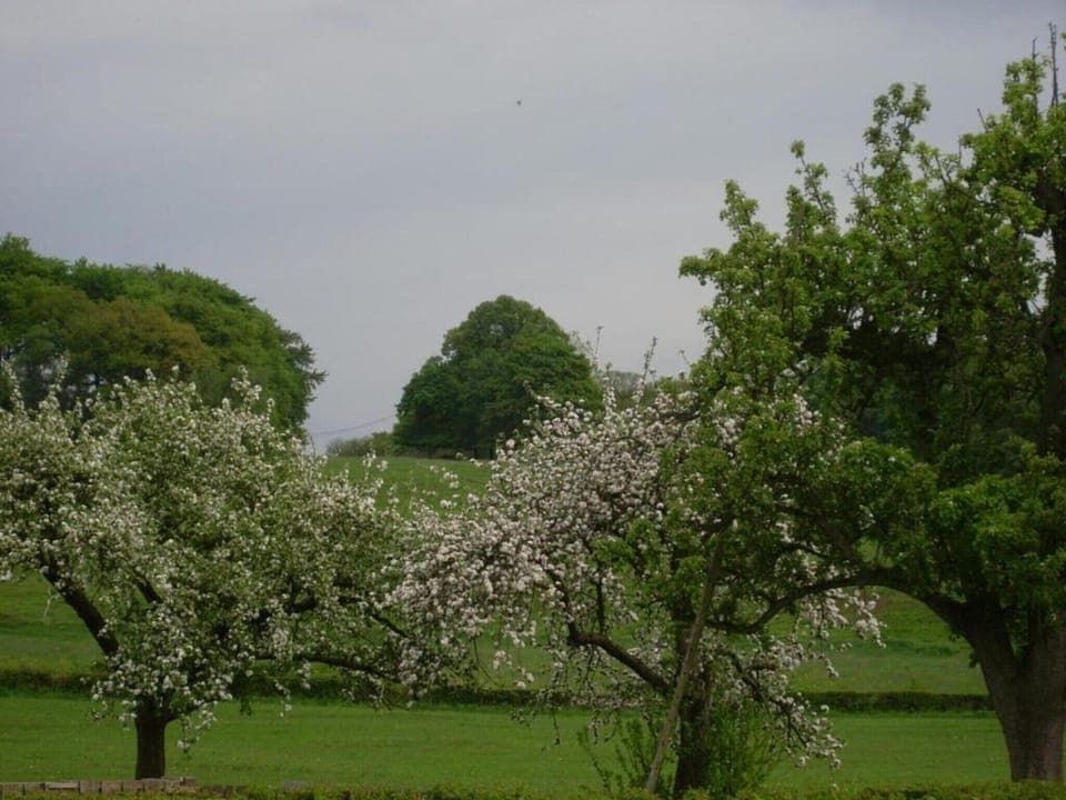 Region [summer] (>5 km)