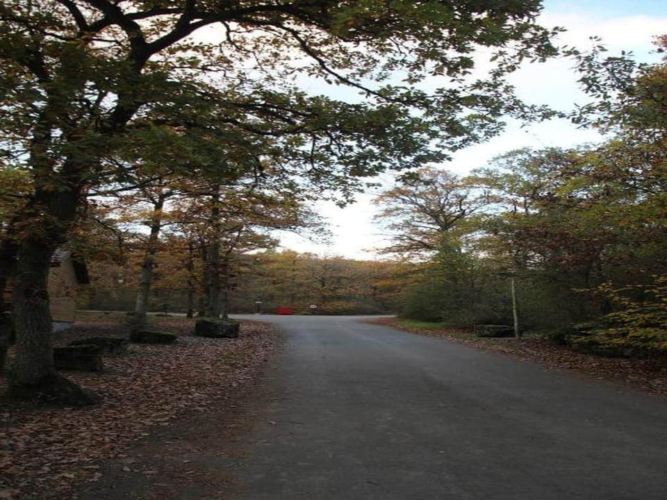 Region [summer] (>5 km)