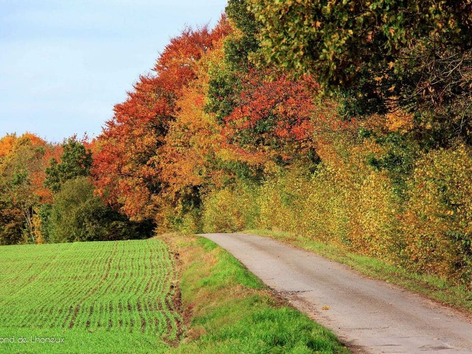 Region [summer] (>5 km)