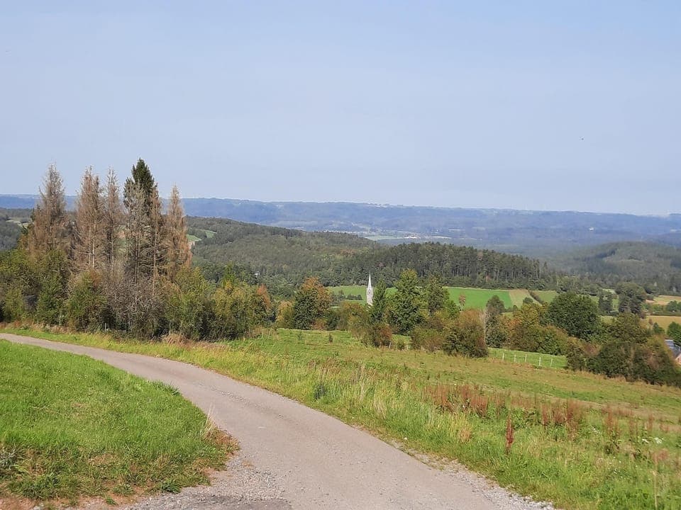 Immediate Surroundings [summer] (<1 km)