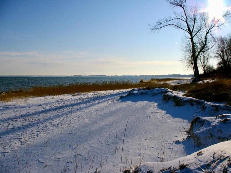 Region [winter] (>5 km)