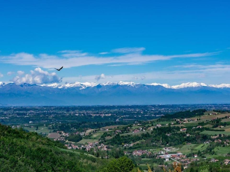 Region [summer] (>5 km)