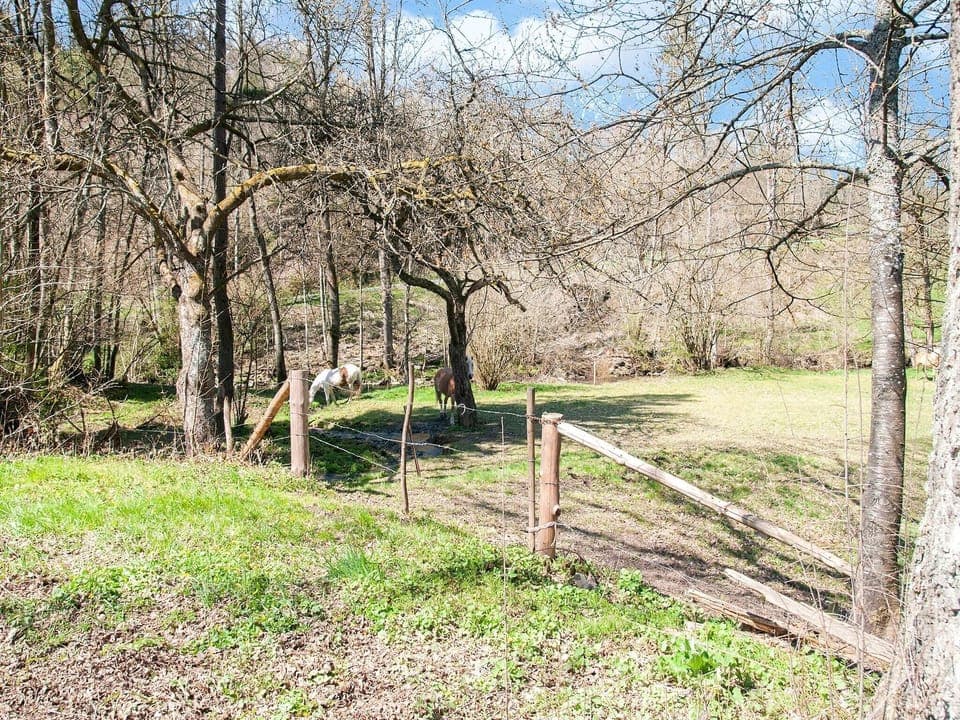 Immediate Surroundings [summer] (<1 km)