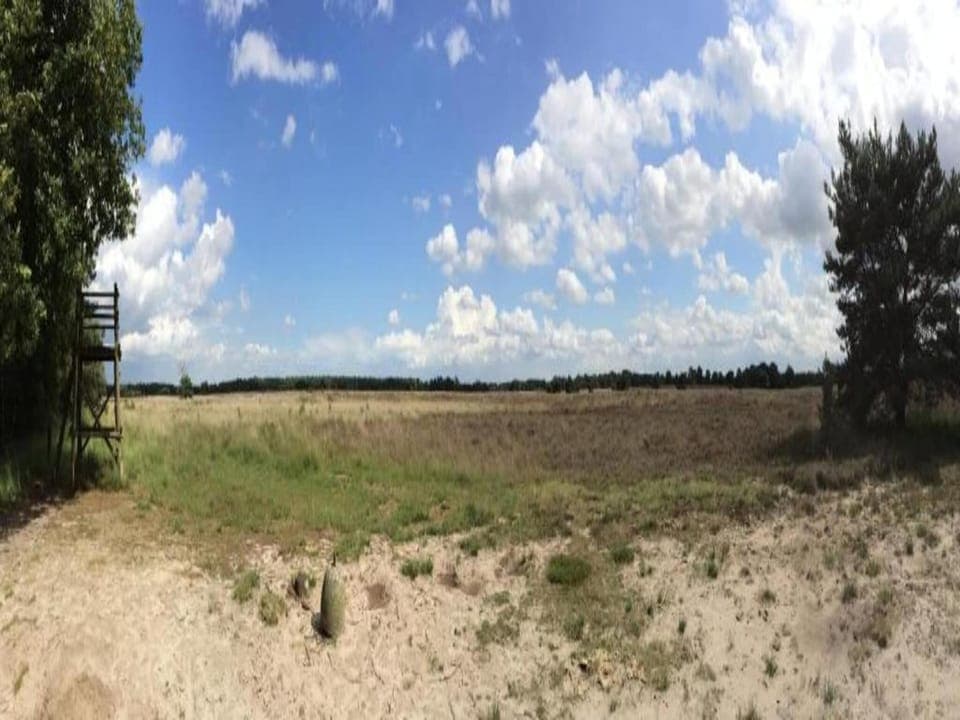 Region [summer] (>5 km)