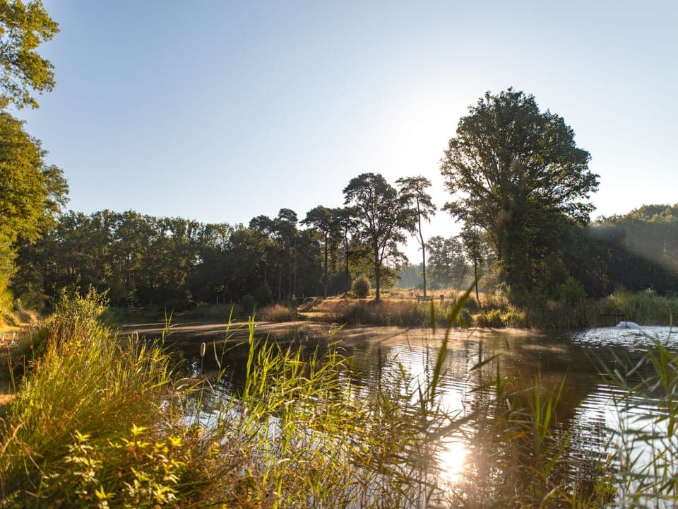 Holiday Park Facilities and Services 