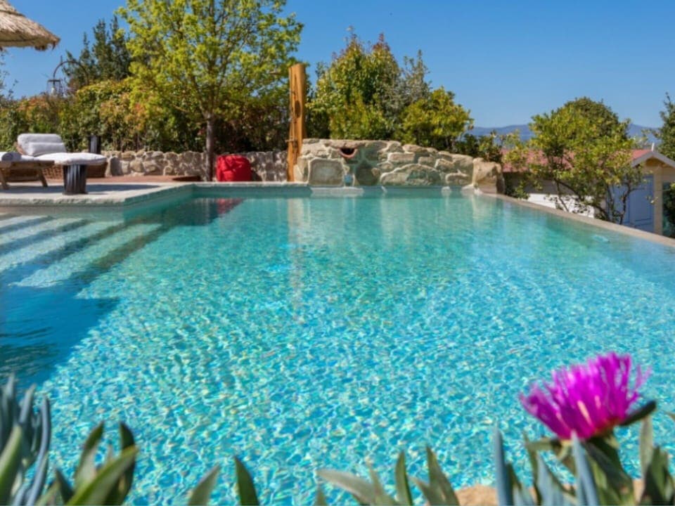 Garden, Outdoor, Pool