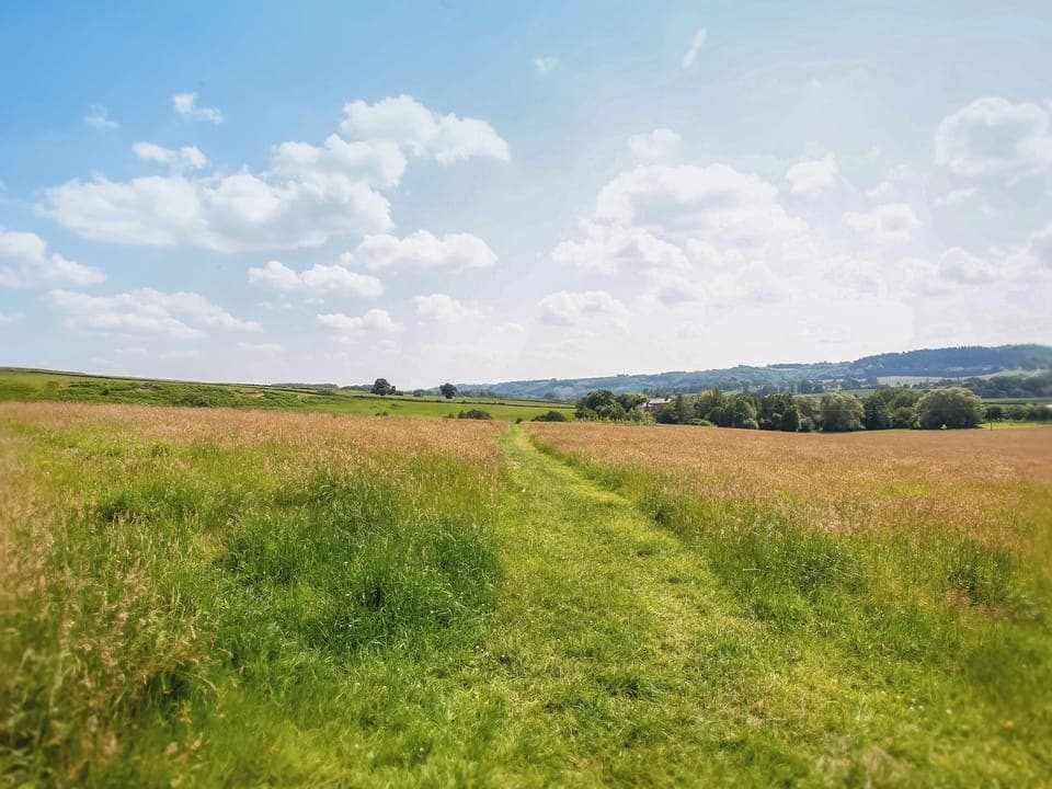 Surrounding area | The Cottage, Stockton