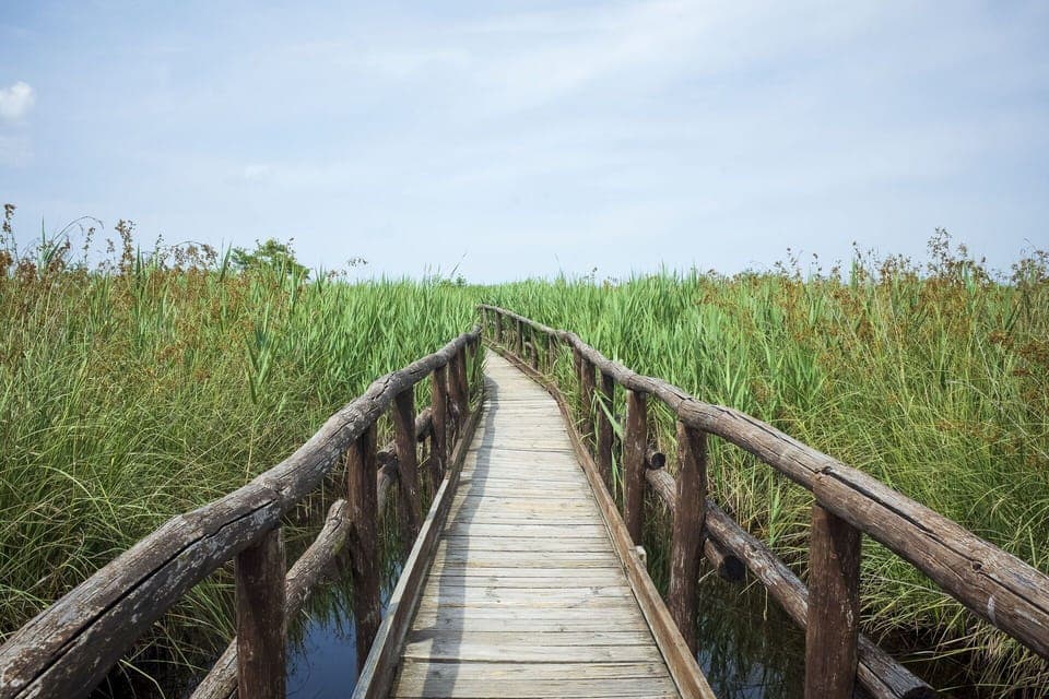 Activities, Autumn, Spring, Summer