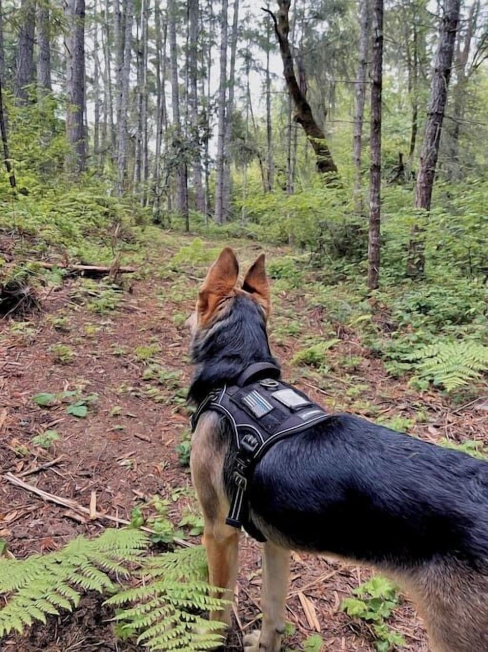 Trail only 10 min walking distance from the house.