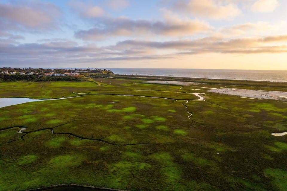 Lagoon Marsh & Ocean View Point