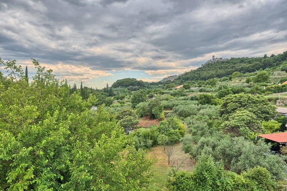 Apartment | Miscellaneous