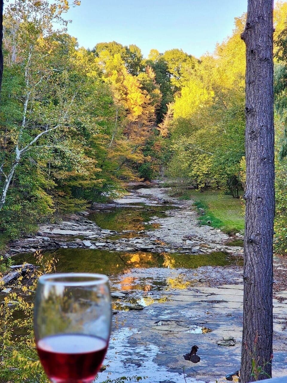 View of the river from the deck. Photo courtesy of one of our guests.