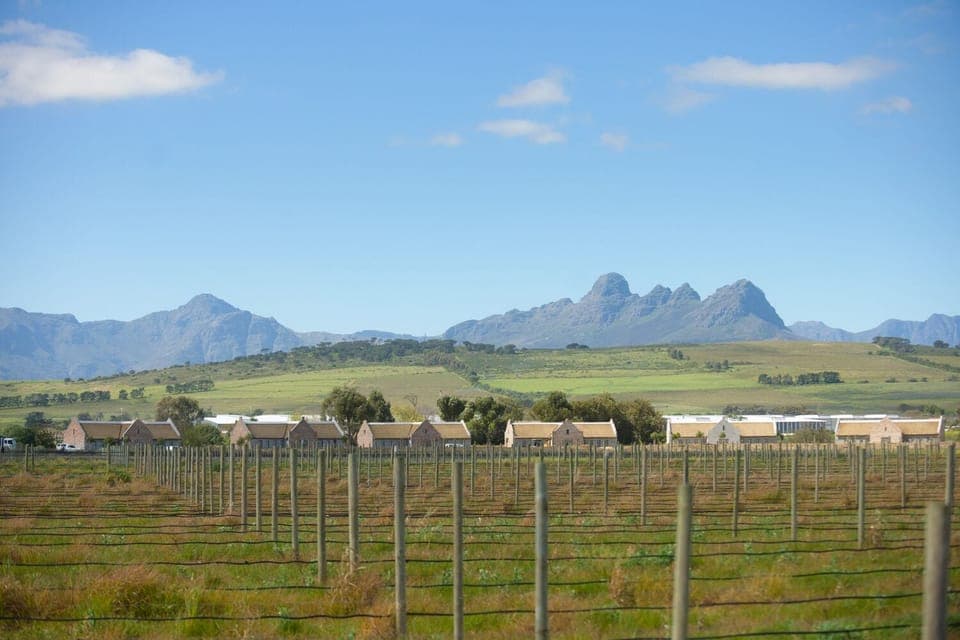 Family Cottage | Egyptian cotton sheets, premium bedding, down comforters