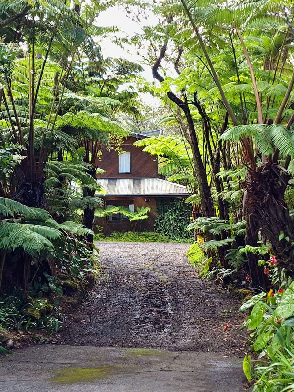 The Pacifica Inn view of the entrance to the property.