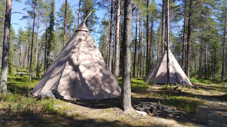 Economy Tent | Bed sheets