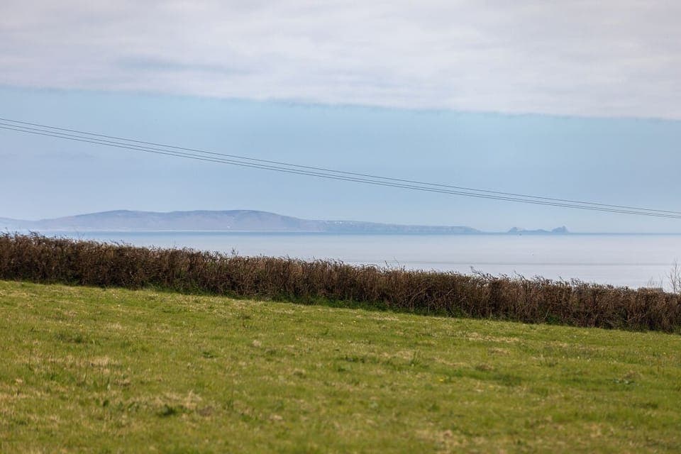 Willows Rest - 1 Bed Shepherd's Hut - Pentlepoir (25634)