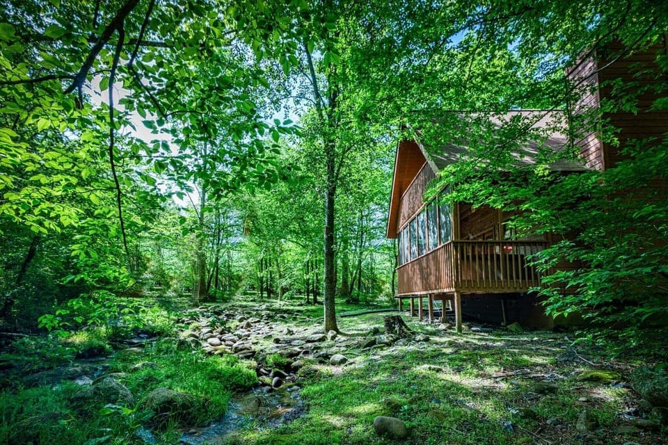 Creekside Cabin, 2 Bedrooms, Outdoor Hot Tub, Pool Table (2 King Beds, 1 Queen Sofa Bed) | View from room
