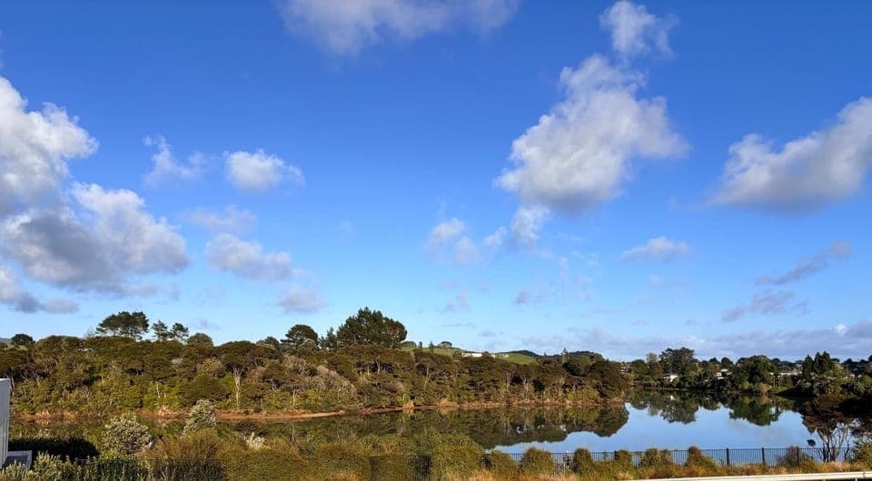 The view across the road from the front deck