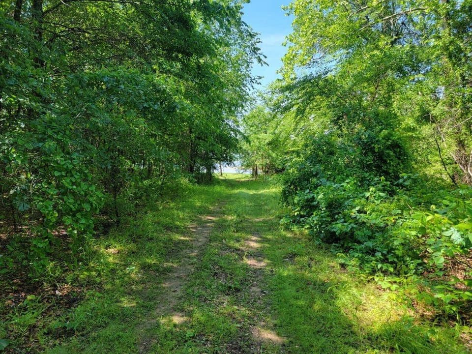 Explore the hidden path behind the house to a secluded beach tha most cannot get to.