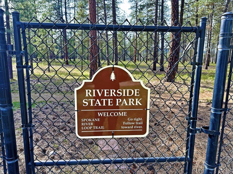 Open our backyard gate and walk into RIVERSIDE STATE PARK. (Largest State park).