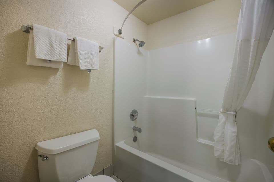 Combined shower/tub, free toiletries, hair dryer, towels