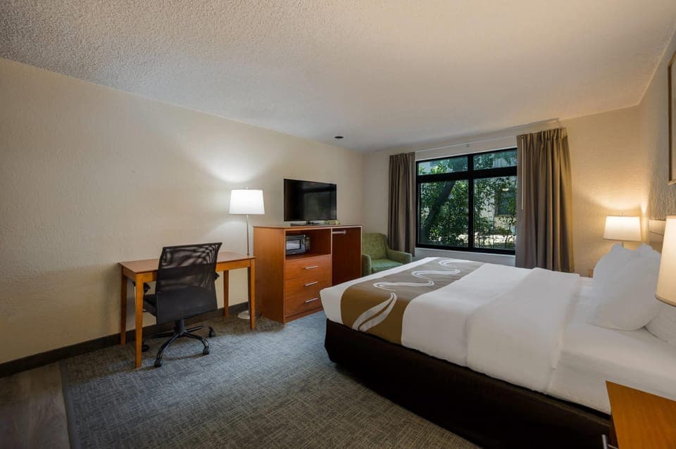 Suite, 1 King Bed, Non Smoking, Kitchenette | Desk, laptop workspace, iron/ironing board, free WiFi