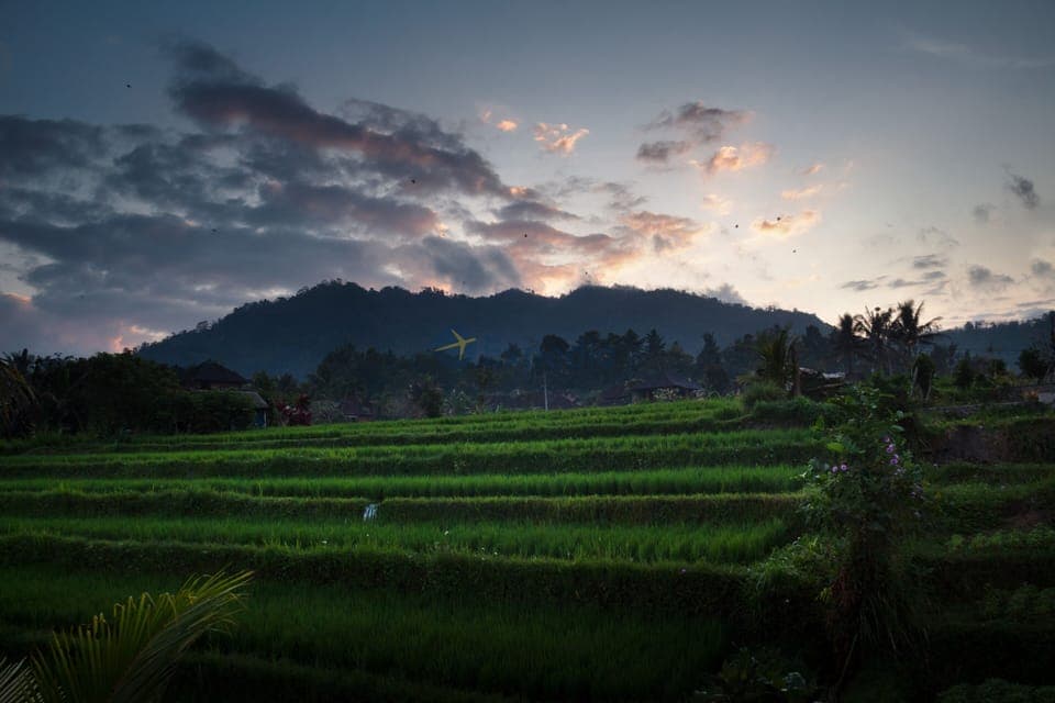Land view from property
