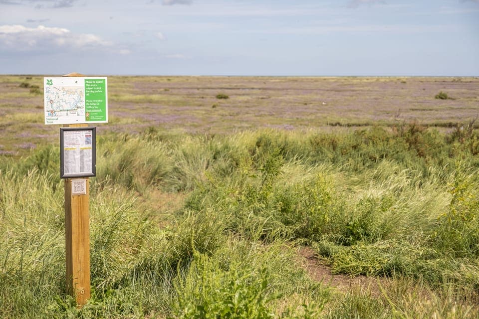 Stiffkey Saltmarshes