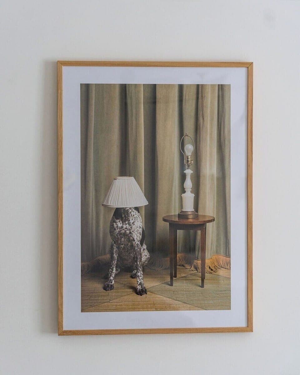 Aesthetic Wall decor