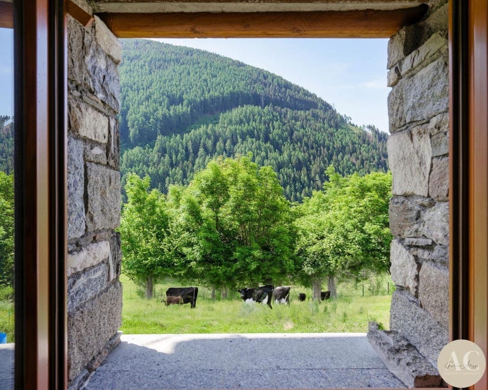 Apartment | 3 bedrooms