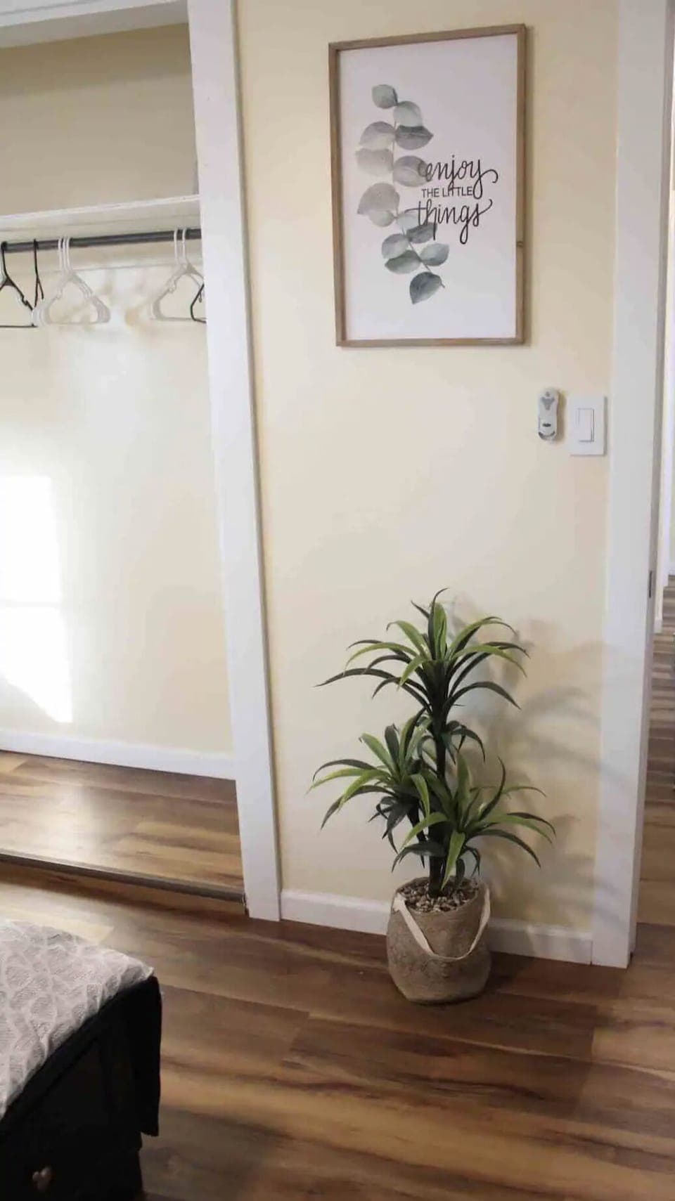 Master bedroom closet