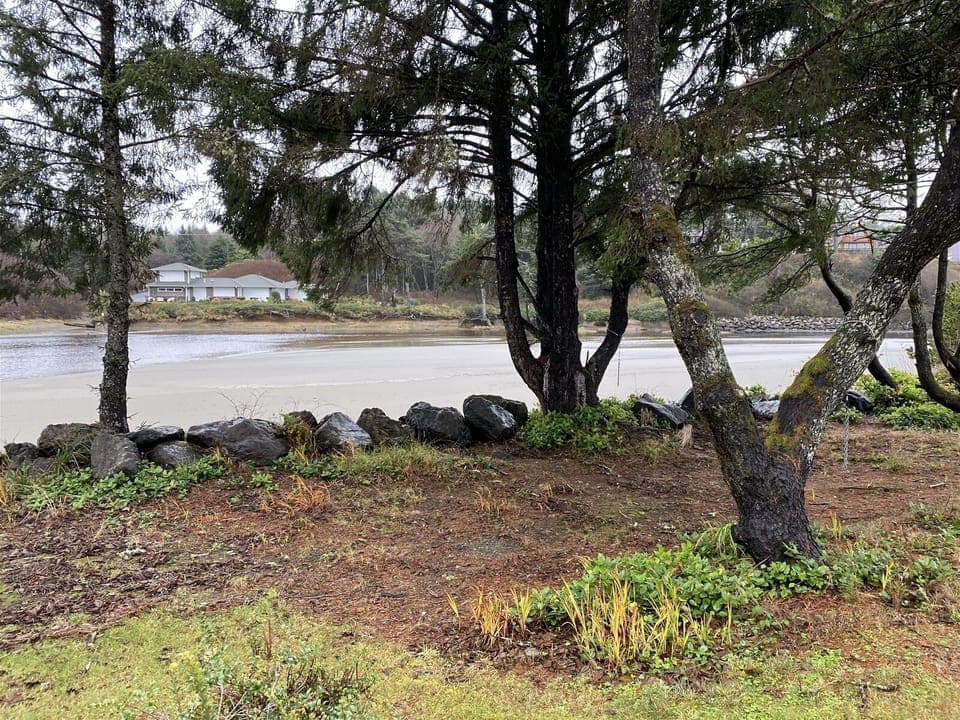 Creek accessible to kayaking and fishing, bird watching  too