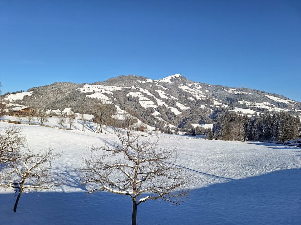 View from Holiday Home [winter]