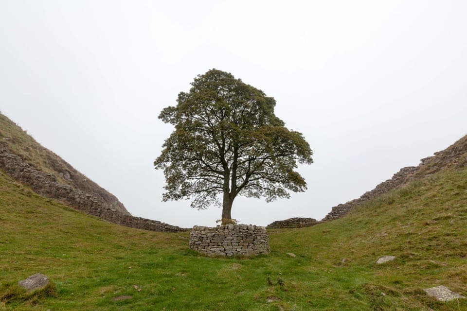 Hadrian's Wall - Sycamore Gap