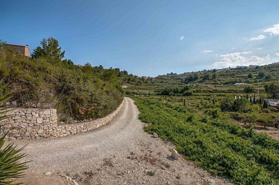 Private driveway towards the Finca alongside the vineyard. 