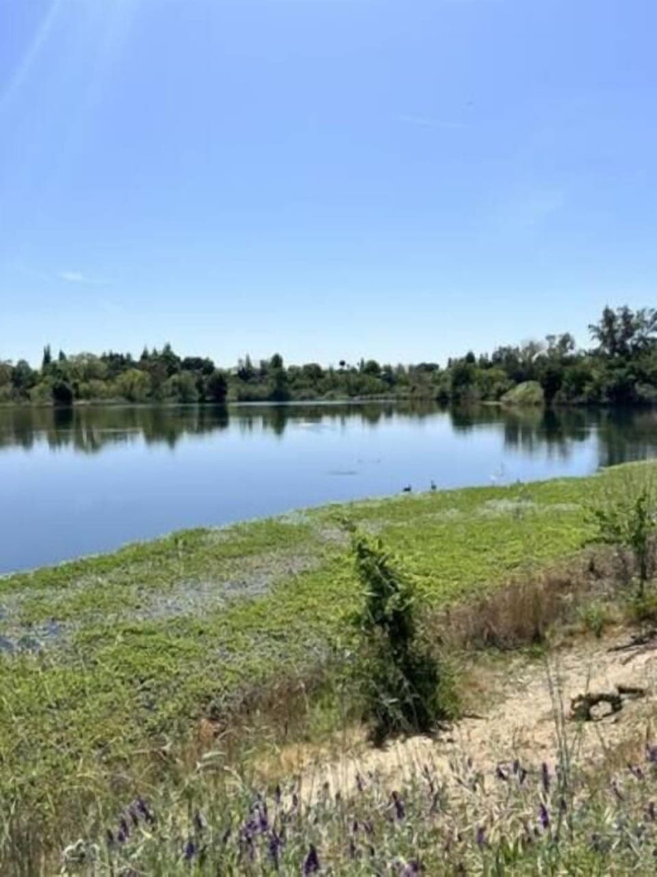 We are near American River and plenty of hiking spots!
