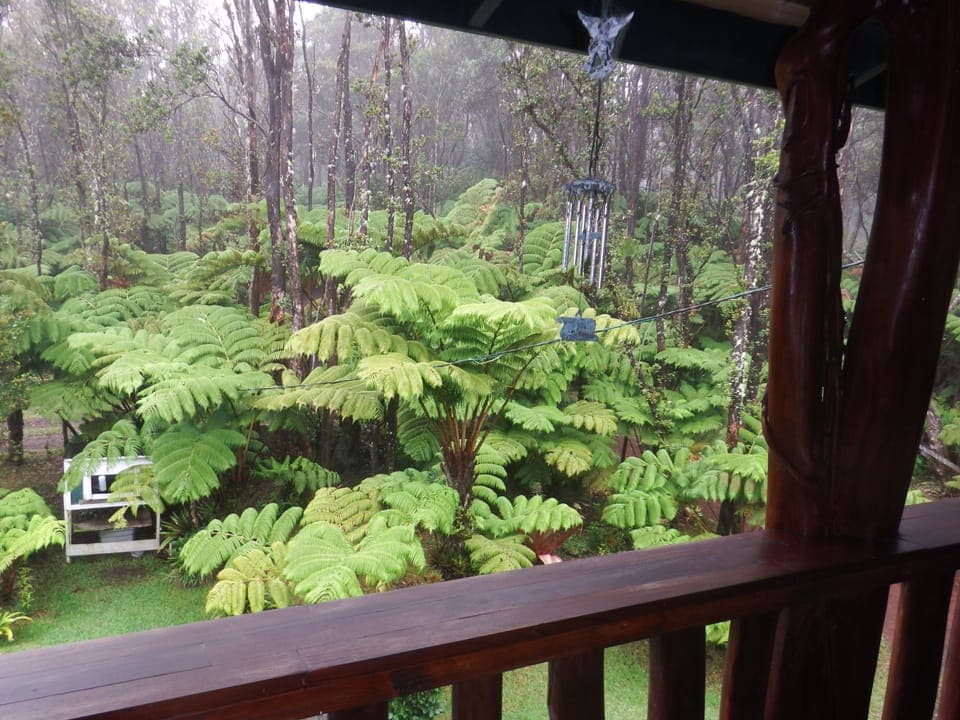 Family House, 2 Bedrooms, Garden View | View from room