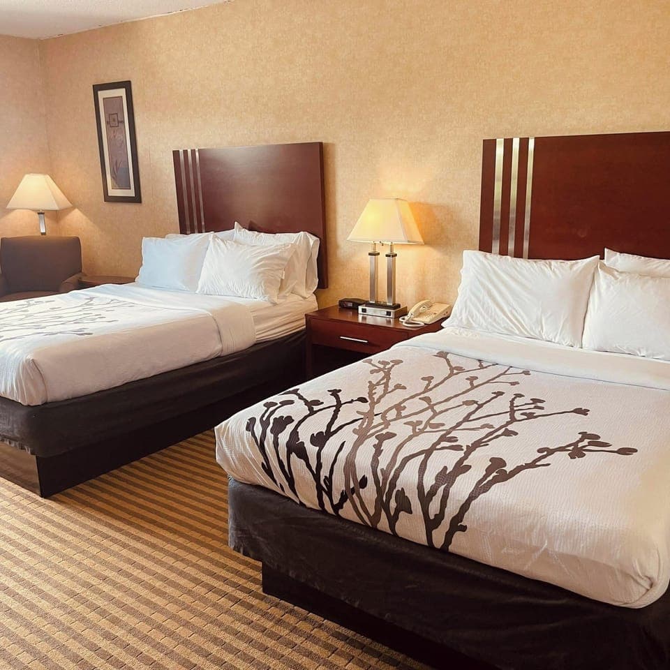 Desk, iron/ironing board, free WiFi, bed sheets