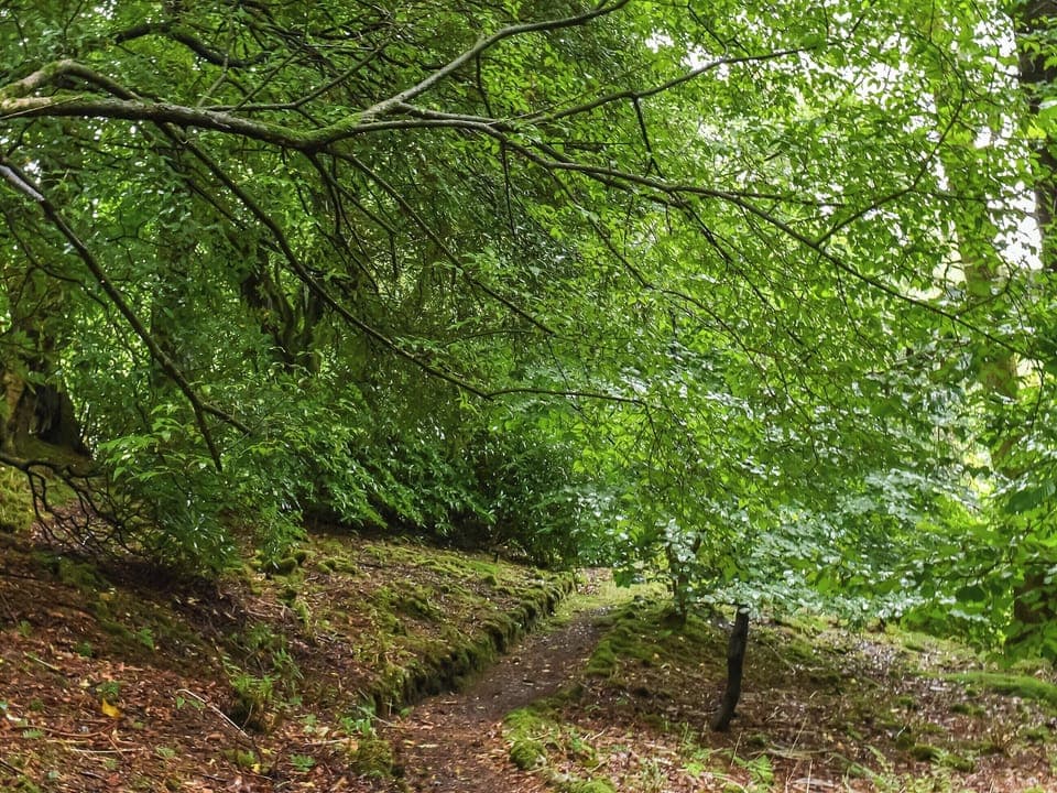 Surrounding area | Needle House, Ravenstonedale, near Kirby Stephen