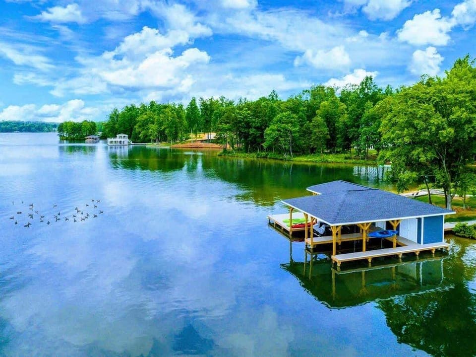 Enjoy Nature! We regularly see ducks and Blue Heron in the cove area behind our home.