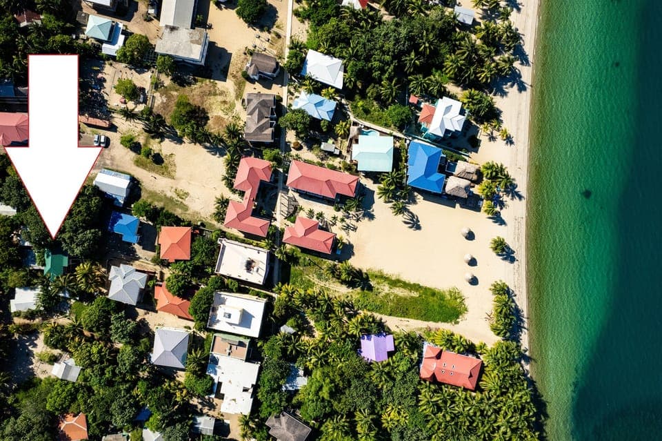 Birds Eye