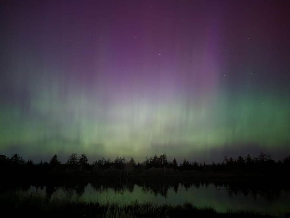 Borealis from across the river. May'24.
