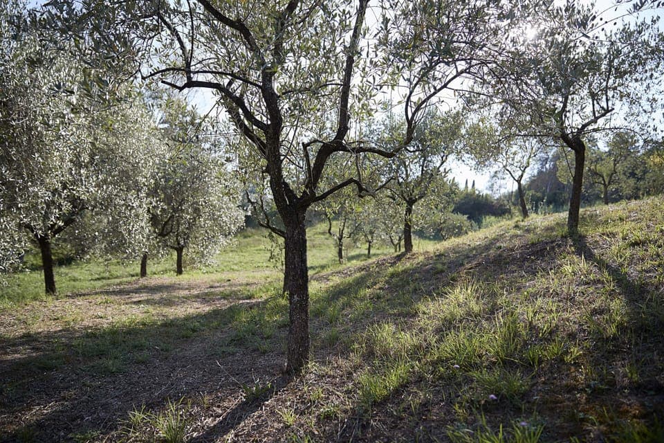 Villa, Multiple Bedrooms, Smoking, Balcony | Garden