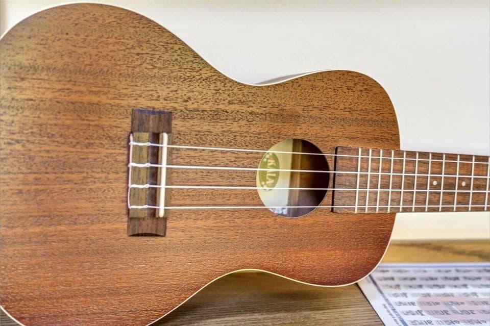 Vacation is music to your heart strums, sing along