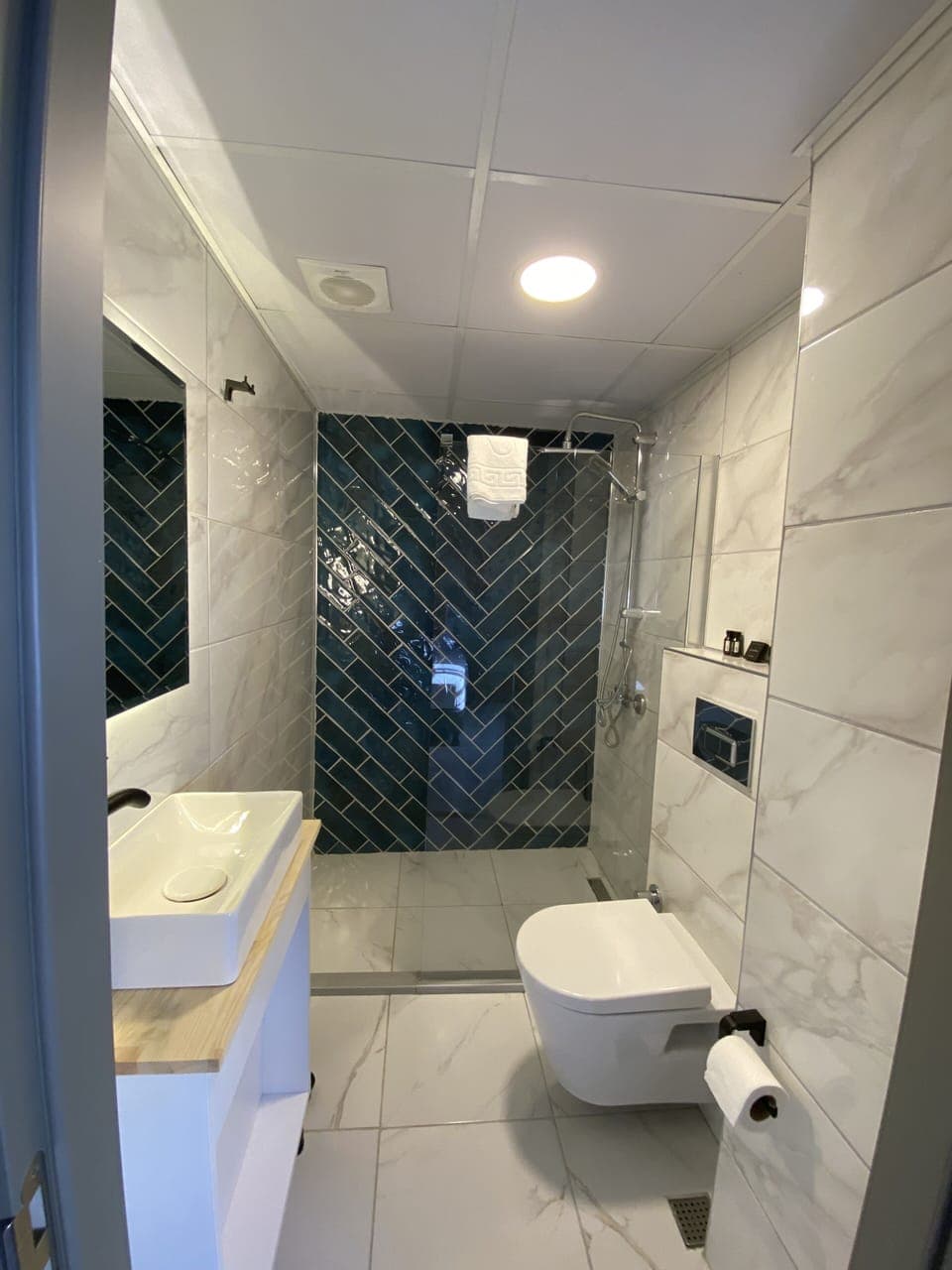 Deluxe Double Room | Bathroom | Shower, rainfall showerhead, free toiletries, hair dryer