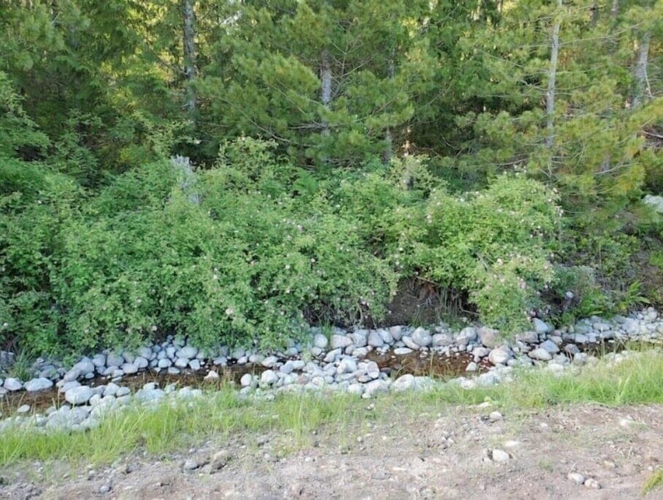 Creek between the two ponds on the property