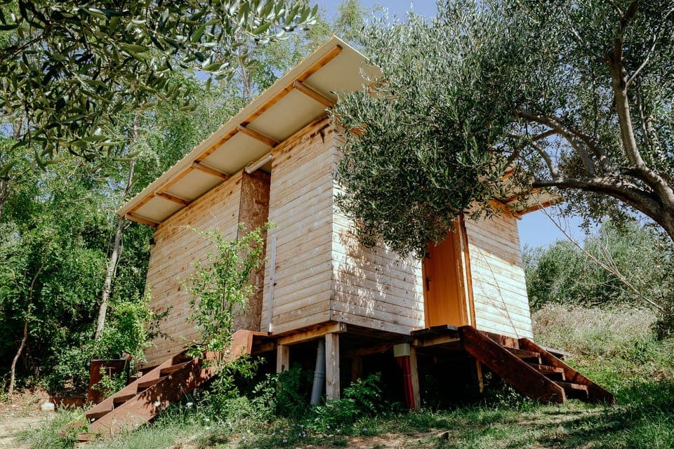 Tent | Shared bathroom